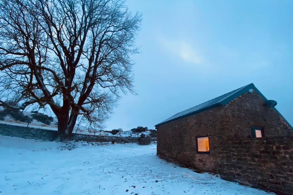 The Barn Apartment